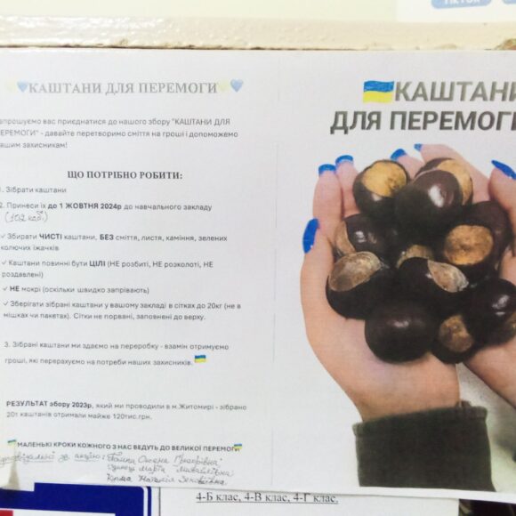 Учні гімназії під керівництвом учительки п. Оксани Помпи взяли активну участь в акції “Каштани для перемоги”
