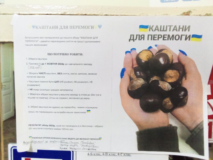 Учні гімназії під керівництвом учительки п. Оксани Помпи взяли активну участь в акції “Каштани для перемоги”